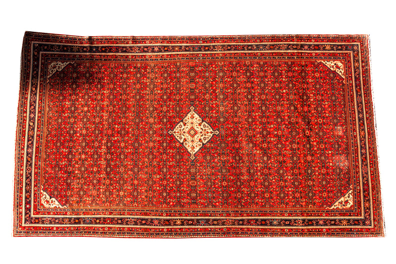 Alfombra clásica oriental Hosseinabad Antigua- 517x304cm