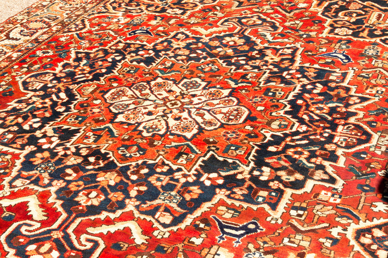 Alfombra clásica oriental Bakhtiar - 388x300cms